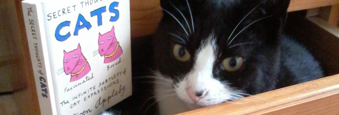 The Write of My Life