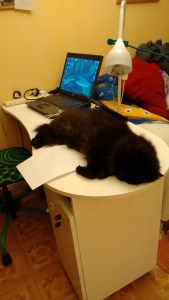 Nov &amp; 8 Dec 2015 566