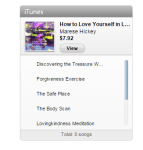 Songcast audio image