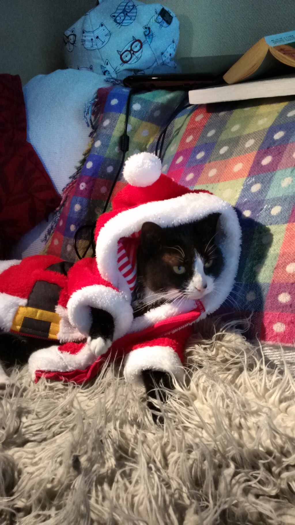 An Ill Wind That Blows No Goodies