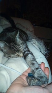 IMG_20181122_215034[1]