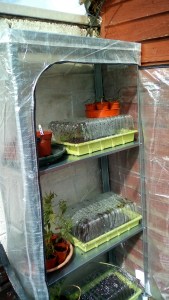 IMG_20190812_120209[1]