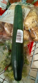 IMG_20190817_093945[1]