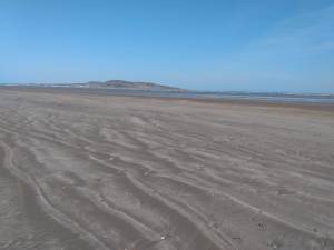 IMG_20200421_162537458