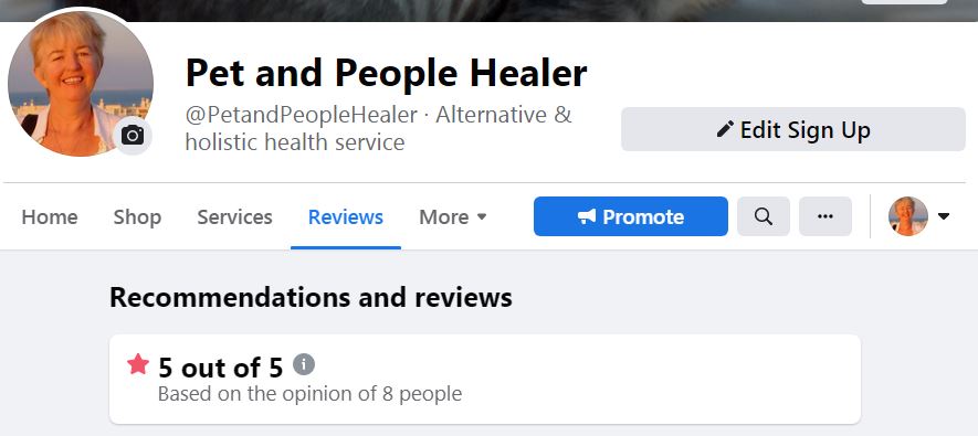 Screenshot of reviews from Pet and P healer July 2021